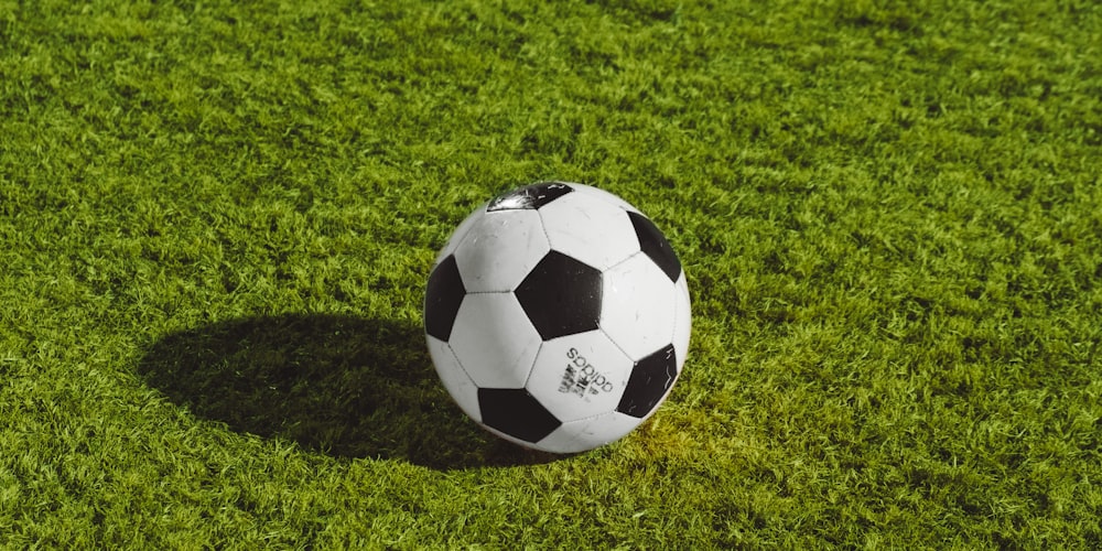 乐竞俱乐部主场体育场全景 - 绿茵场与看台